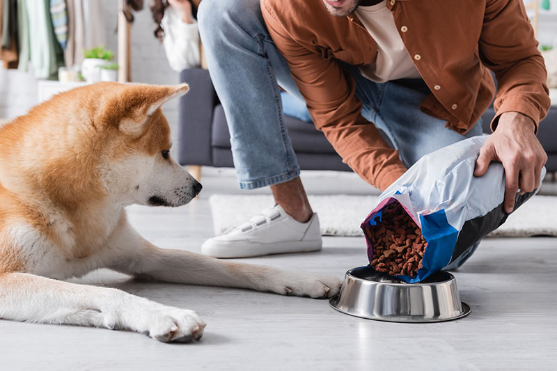 Pet Food