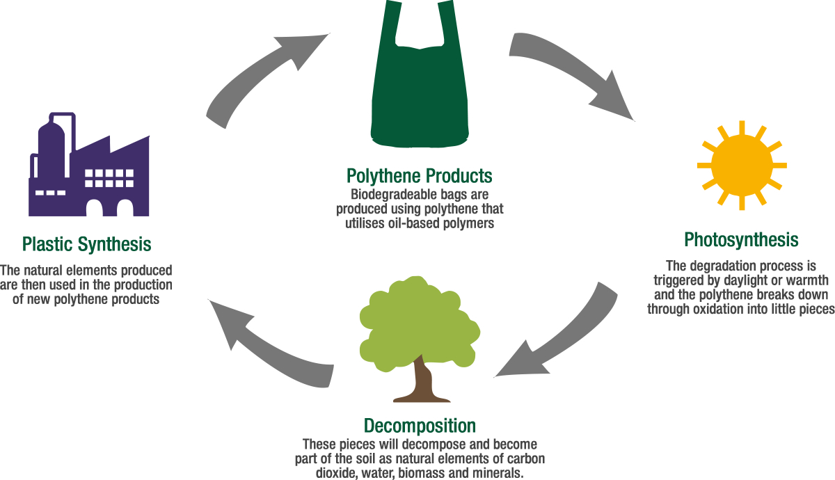 How biodegradeable bags degrade